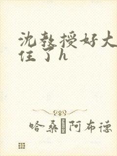 沈教授好大含不住了h