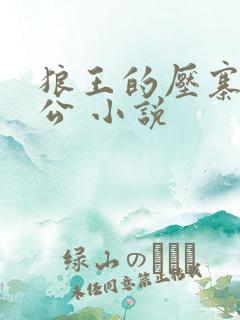 狼王的压寨小相公 小说