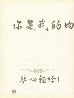 你是我的肉便器