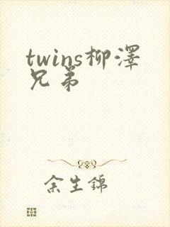 twins柳泽兄弟