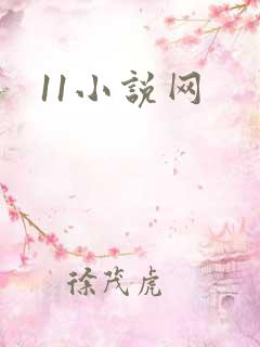 11小说网