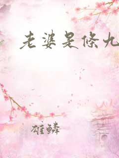 老婆是条九尾狐