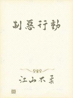 制恶行动