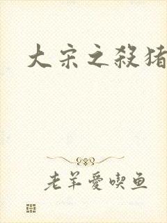 大宋之杀猪状元