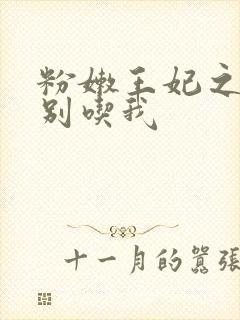 粉嫩王妃之殿下别吃我