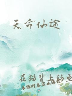 天命仙途