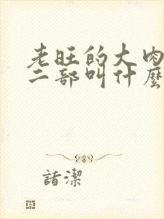 老旺的大肉蟒第二部叫什么小说