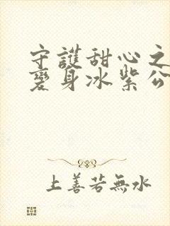 守护甜心之亚梦变身冰紫公主