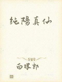 纯阳真仙