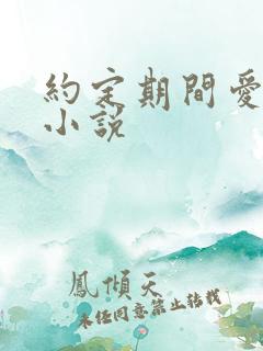 约定期间爱上你小说