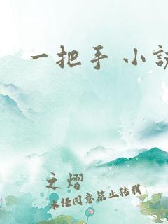 一把手 小说