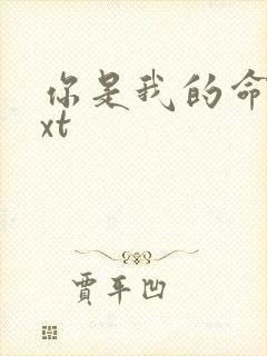 你是我的命运txt