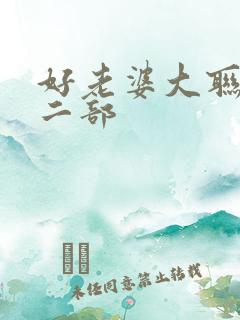 好老婆大联盟第二部