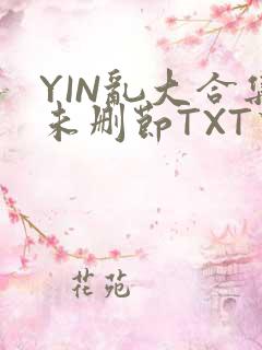 YIN乱大合集未删节TXT下载