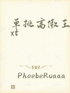 单挑高傲王子txt