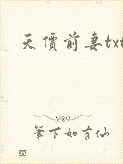 天价前妻txt