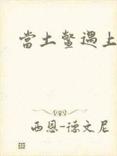 当土鳖遇上海龟