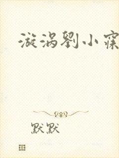 漩涡刘小寐