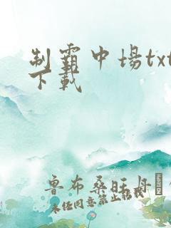 制霸中场txt下载