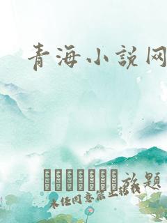 青海小说网
