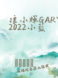 浪小辉GARY2022小蓝