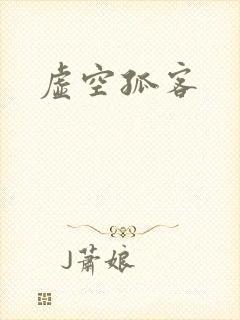 虚空孤客