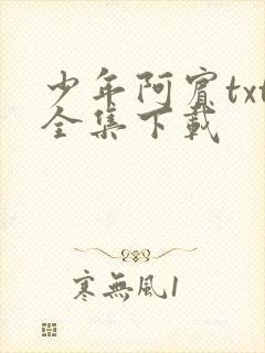 少年阿宾txt全集下载
