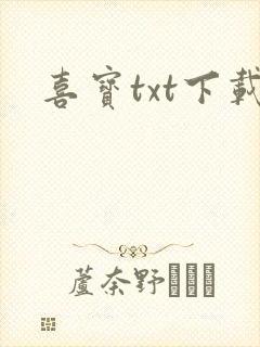 喜宝txt下载