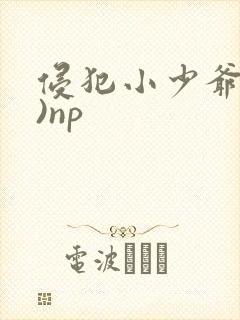 侵犯小少爷(H)np