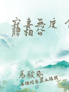 宠妻无度  金牌相公