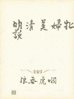 明清美妇牝户小说