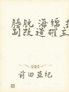 膀胱 海绵 控制改造确立m