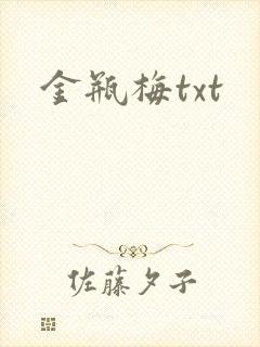 金瓶梅txt