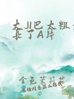 大JI巴太粗太长了A片