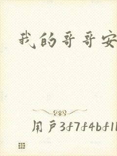 我的哥哥安小天