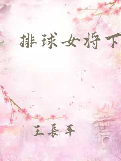 排球女将下载