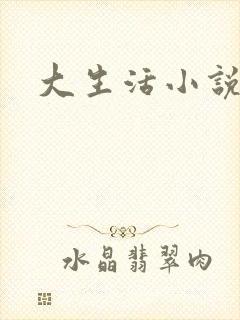 大生活小说