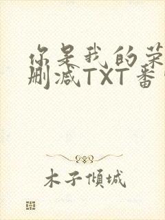 你是我的荣耀未删减TXT番外