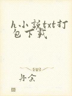 h小说txt打包下载