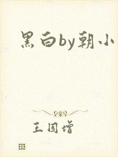黑白by朝小诚