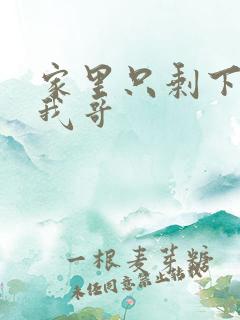 家里只剩下我和我哥