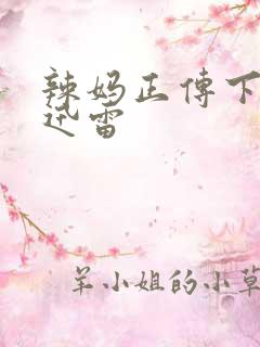 辣妈正传下载 迅雷