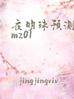 夜明珠预测 ymz01