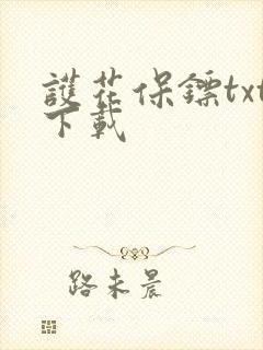 护花保镖txt下载