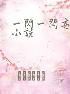 一闪一闪亮晶晶小说