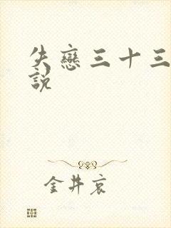 失恋三十三天小说