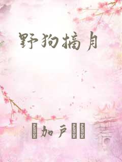 野狗摘月