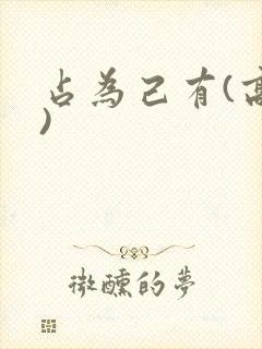 占为己有(高干)