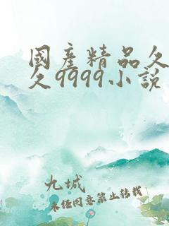 国产精品久久久久9999小说