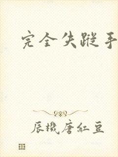 完全失踪手册